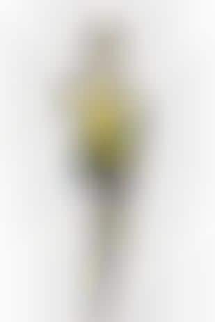 Cartoon Model Illustrations