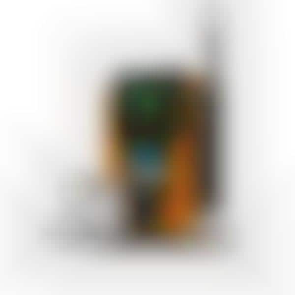 Robotic Party Picture Takers