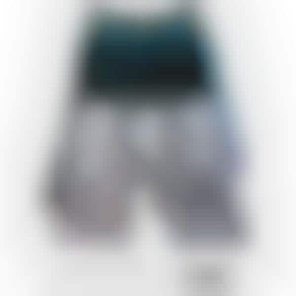 Celebrity Boxer Briefs