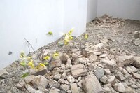 Syrian War Art Projects Image 4