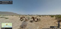 Virtual Safari Tours Image 2