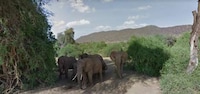 Virtual Safari Tours Image 3