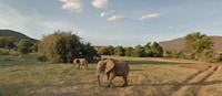 Virtual Safari Tours Image 5