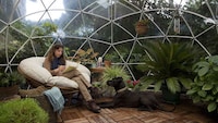 Relaxing Garden Igloos Image 4