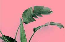 Foliage-Focused Photography