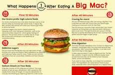Digestive Burger Infographics