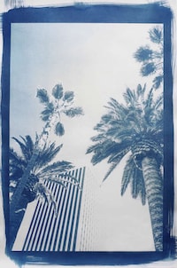 Filtered Landscape Photography Image 4