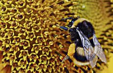 Bee-Delivered Biocontrols