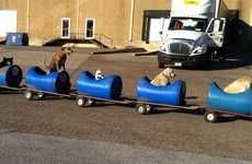 Rescue Dog Trains