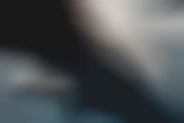 Close-Up Underwater Photography