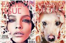 Glamorous Pet Adoption Editorials