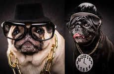 Hip-Hop Pug Portraits