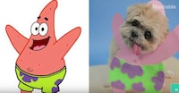 Canine Cartoon Characters Image 2