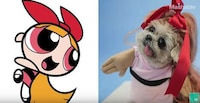Canine Cartoon Characters Image 4