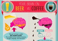 Comparison Drink Consumption Charts Image 4