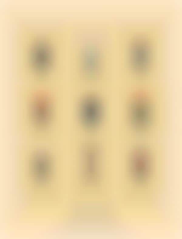Custom Icon Illustrations