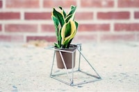 DIY Industrial Metal Planters Image 2