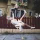 Gravity-Defying Photography Image 3