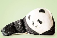 Huggable Bear Pillows Image 3