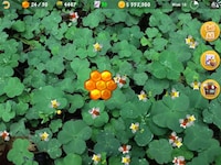 Bee Farming Finance Apps Image 2