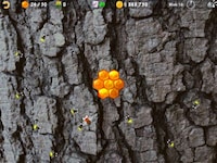 Bee Farming Finance Apps Image 5