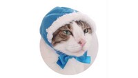 Cozy Cat Cowls Image 4