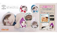 Cozy Cat Cowls Image 5