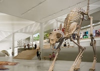 Modernized Art Parks Image 4