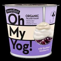 Layered Dessert Yogurts Image 3