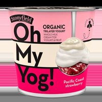 Layered Dessert Yogurts Image 6