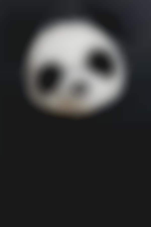 Plush Panda Masks