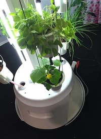 Luminous Vertical Gardens Image 2