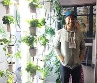 Luminous Vertical Gardens Image 3