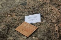 Cork Card Holders Image 2