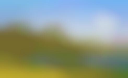 Crowdsourced Fruit-Finding Apps