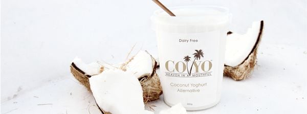 40  Unexpected Yogurt Varieties