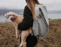 Post-Modern Knapsacks Image 3