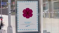 Thievery-Based Flight Promotions Image 4