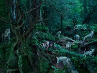 Chilling Feral Children Photos Image 3
