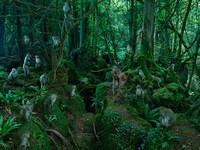 Chilling Feral Children Photos Image 6