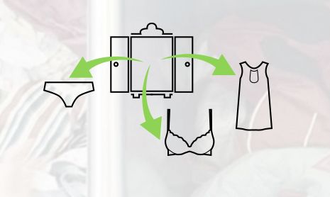 Lingerie-Swapping Programs