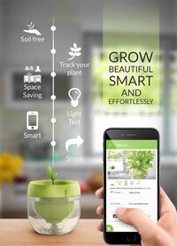 Smart Indoor Herb Gardens Image 2