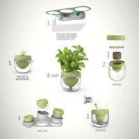 Smart Indoor Herb Gardens Image 3
