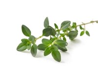Smart Indoor Herb Gardens Image 5