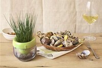 Smart Indoor Herb Gardens Image 7