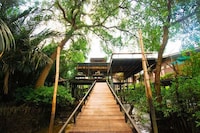 Outdoor Treehouse Resorts Image 4