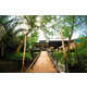 Outdoor Treehouse Resorts Image 4