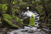 Haunting Moss Sculptures Image 6