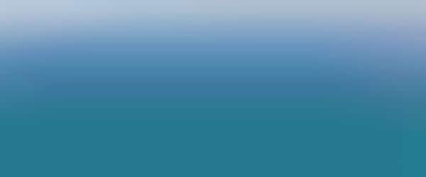 Viral Whale Videos
