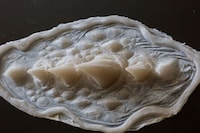 Fantasy Creature Prosthetics Image 3